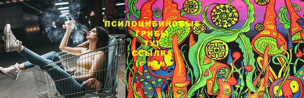 ешки Каменск-Шахтинский
