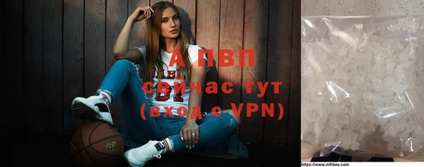 ПСИЛОЦИБИНОВЫЕ ГРИБЫ Каменногорск