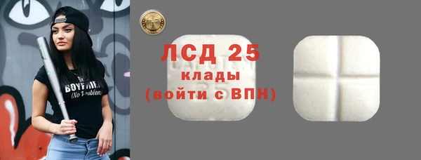 ПСИЛОЦИБИНОВЫЕ ГРИБЫ Каменногорск