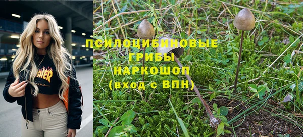 ПСИЛОЦИБИНОВЫЕ ГРИБЫ Каменногорск
