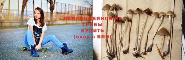 ПСИЛОЦИБИНОВЫЕ ГРИБЫ Каменногорск