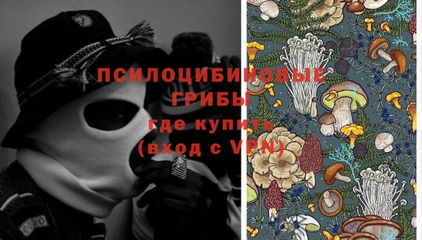 ешки Каменск-Шахтинский
