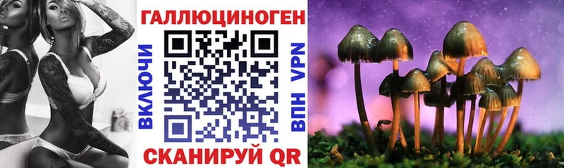 Псилоцибиновые грибы Cubensis  Купить где  Ленск 